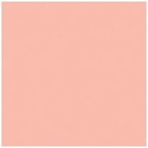 Rosco Roscolux Rose Gold, 20x24" Color Effects Lighting Filter