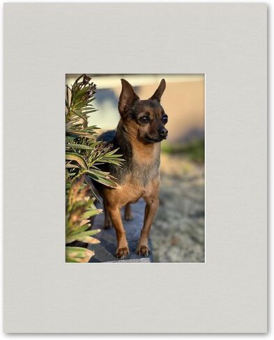 16x20 Matting for 9x12 Photograph or Artwork 4-Ply Bevel Cut Acid Free Matboard for Picture framing (Light Gray) in Kuwait
