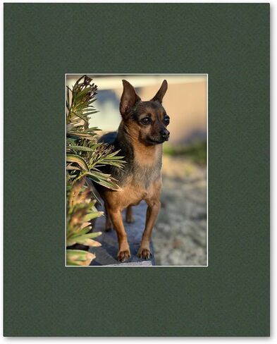 16x20 Matting for 9x12 Photograph or Artwork 4-Ply Bevel Cut Acid Free Matboard for Picture framing (Light Gray) in Kuwait