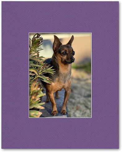 16x20 Matting for 9x12 Photograph or Artwork 4-Ply Bevel Cut Acid Free Matboard for Picture framing (Light Gray) in Kuwait