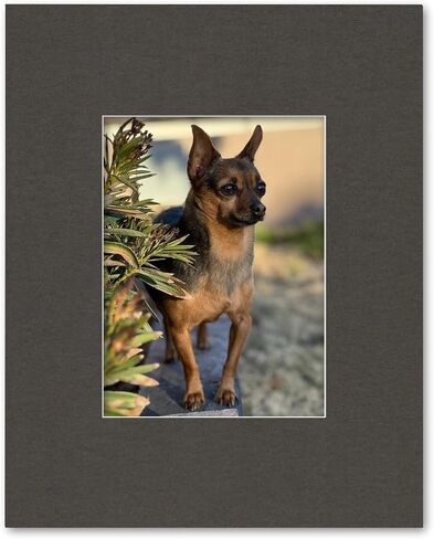 16x20 Matting for 9x12 Photograph or Artwork 4-Ply Bevel Cut Acid Free Matboard for Picture framing (Light Gray) in Kuwait