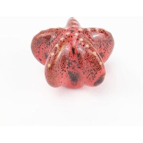Ceramic Cabinet Handle Drawer Pull Knob Starfish Shape Cupboard Knobs for Kitchen Knobs Kids Room Cabinet Closet Toy Organizer - (Color: Red)