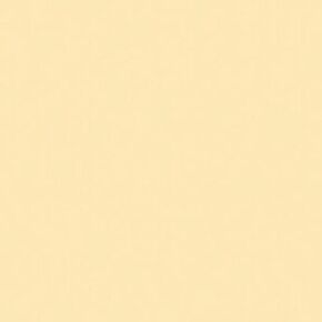 Rosco Roscolux Pale Yellow, 20x24" Color Effects Lighting Filter