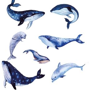 Large Whale Shark Wall Decals, Under The Sea Wall Decals Ocean Dolphin Fishing Wall Decor Peel and Stick Wall Art Decals for Baby Nursery Kids Bedroom Bathroom Home Decor