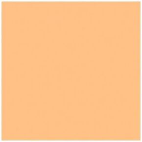 Rosco Roscolux Pale Amber Gold, 20x24" Color Effects Lighting Filter
