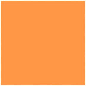 Rosco Roscolux Flame, 20x24" Color Effects Lighting Filter
