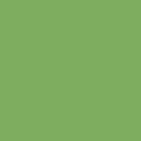 Rosco CalColor 4430 - CalColor 30 Green Gel - 20 x 24 Sheet