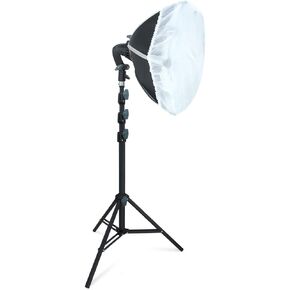 LINCO Lincostore Studio Round Lighting LED Bulb 15 inch Portrait Light Modern Style with Diffuser (Single Light) AM264