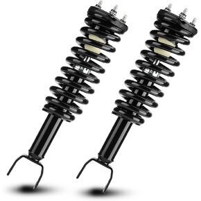 Front Complete Strut Assembly Shock Absorber Compatible with Dodge Dakota RWD 2005-2009, Mitsubishi Raider RWD 2006-2009, Replace 271100 (Set of 2)