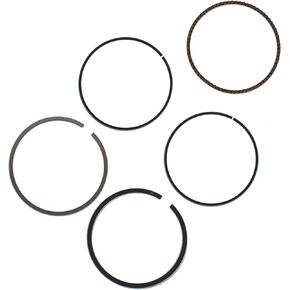 Standard Bore Piston Rings Replacement for Honda Fourtrax 300 TRX300EX 74mm 2001-2009