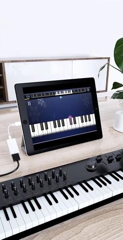 محول USB OTG لأجهزة iPhone + محول OTG من النوع C لأجهزة andorid، موصل USB أنثى يدعم قارئ بطاقة الاتصال، محول محرك فلاش USB لأجهزة iPad، محول كاميرا USB iOS يدعم مزامنة البيانات in Kuwait