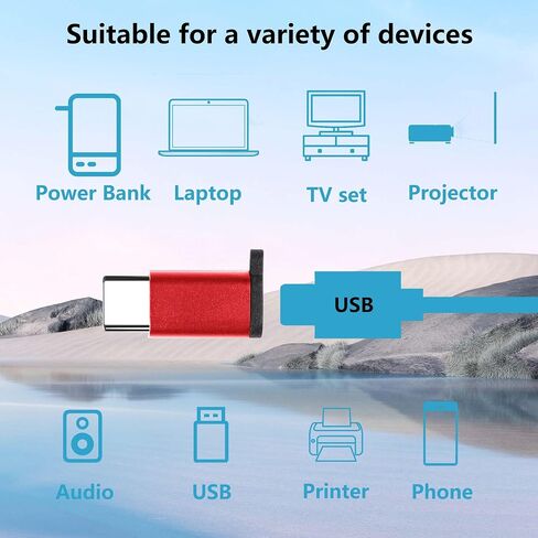Micro USB to USB C Adapter [2 Pack], Type C Male to Micro USB Female Convert Connector Charge Data Sync Compatible with Samsung Galaxy S10 S9 S8 Plus Note 9 8, LG V30 G5 G6 and USB C Devices in Saudi Arabia