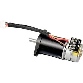 15BY DC 5V 6V Mini 15mm Metal Gearbox Planetary Gear Stepper Motor 2-Phase 4-Wire Stepping Motor Large Torque 1Pcs