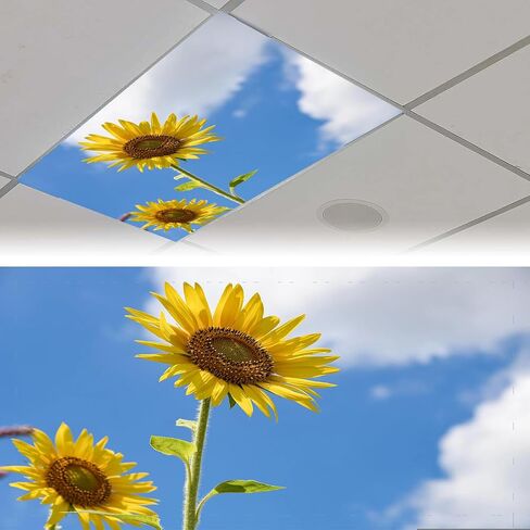 4 Pack Fluorescent Light Covers Magnetic Light Cover Fluorescent Light Eliminate Harsh Glare That Causing Eyestrain and Head Strain Light Filters for Office Classroom Home,4 x 2 Ft (Sunflower) in Saudi Arabia