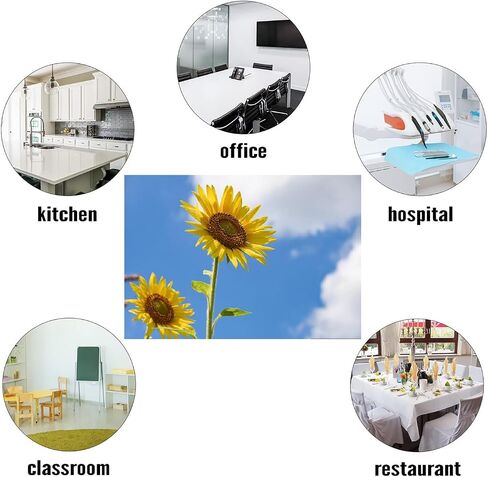 4 Pack Fluorescent Light Covers Magnetic Light Cover Fluorescent Light Eliminate Harsh Glare That Causing Eyestrain and Head Strain Light Filters for Office Classroom Home,4 x 2 Ft (Sunflower) in Saudi Arabia