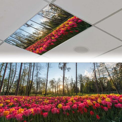 4 Pack Fluorescent Light Covers Magnetic Light Cover Fluorescent Light Eliminate Harsh Glare That Causing Eyestrain and Head Strain Light Filters for Office Classroom Home,4 x 2 Ft (Sunflower) in Saudi Arabia