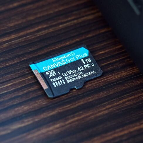 Kingston Canvas Go Plus 256GB microSD Card | Up to 200MB/s | Class 10, UHS-I, U3, V30, A2 | SDCG4/256GB in Saudi Arabia