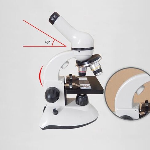 Biological Microscope 5000X High Power Experimental Light Source Inspection Microscope in Saudi Arabia