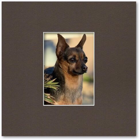 12x12 Matting for 5x7 Photograph or Artwork 4-Ply Bevel Cut Acid Free Matboard for Picture framing (White) in Kuwait