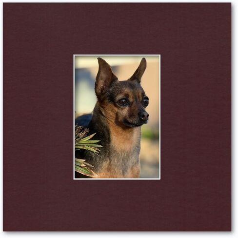12x12 Matting for 5x7 Photograph or Artwork 4-Ply Bevel Cut Acid Free Matboard for Picture framing (White) in Kuwait