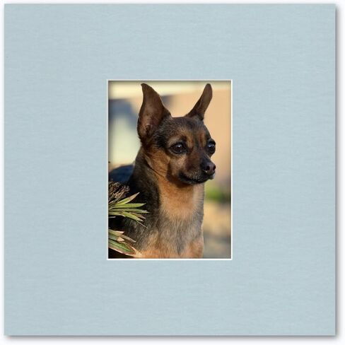12x12 Matting for 5x7 Photograph or Artwork 4-Ply Bevel Cut Acid Free Matboard for Picture framing (White) in Kuwait