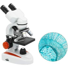 Connection Binocular Stereo Microscope Beruf Children Science Laboratory Biological Microscope HD 5000 Times Mayt Sperma Lupe Battery Operated Phone and Computer Connection