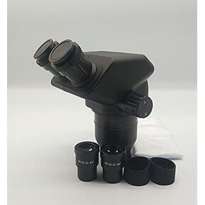 Scientific 10x/30x Binocular Stereo Microscope/Microscope Head (Color : Black Magnification : Other)