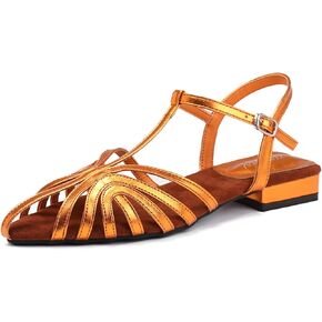 Women'S Strappy Pointed Closed Toe Low Chunky Heel Roman Sandals Fashion Adjustable Buckle Cut Out Cage Comfortable Flat Fisherman Sandals Casual Summer Breathable T Strap Beach Sandals in Kuwait