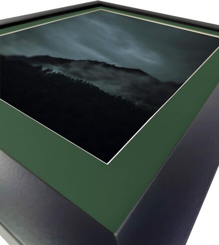 Craig Frames B522 Pre-Cut Mat Board للطباعة 12x18 ، 18x24 ، Palm Green in Kuwait