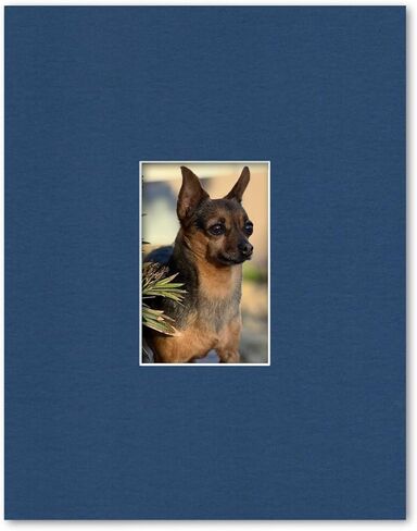 11x14 Matting for 4x6 Photograph or Artwork 4-Ply Bevel Cut Acid Free Matboard for Picture framing (White) in Saudi Arabia