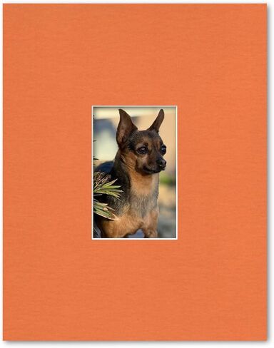 11x14 Matting for 4x6 Photograph or Artwork 4-Ply Bevel Cut Acid Free Matboard for Picture framing (White) in Saudi Arabia