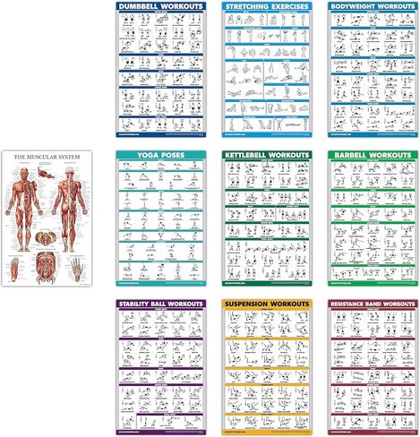 10 Pack - Exercise Workout Poster Set - Dumbbell, Suspension, Kettlebell, Resistance Bands, Stretching, Bodyweight, Barbell, Yoga Poses, Exercise Ball, Muscular System Chart (LAMINATED, 18" x 27") in Saudi Arabia
