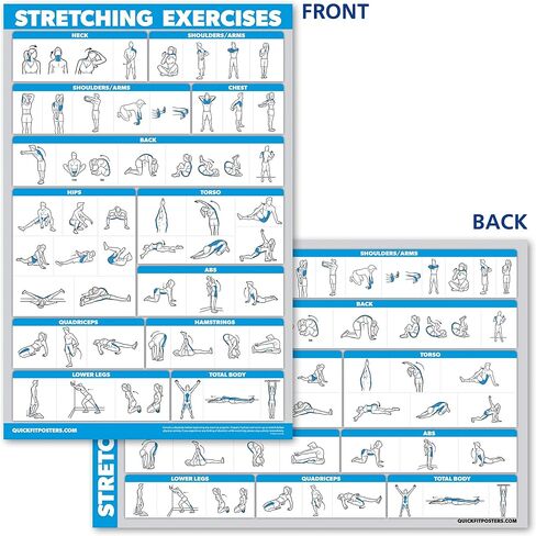 10 Pack - Exercise Workout Poster Set - Dumbbell, Suspension, Kettlebell, Resistance Bands, Stretching, Bodyweight, Barbell, Yoga Poses, Exercise Ball, Muscular System Chart (LAMINATED, 18" x 27") in Saudi Arabia