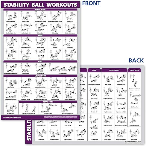 10 Pack - Exercise Workout Poster Set - Dumbbell, Suspension, Kettlebell, Resistance Bands, Stretching, Bodyweight, Barbell, Yoga Poses, Exercise Ball, Muscular System Chart (LAMINATED, 18" x 27") in Saudi Arabia