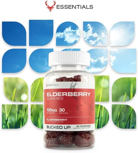 علكات نبات البلسان مع الزنك وفيتامين ج 100 مجم، 60 علكة - الأساسيات in Kuwait