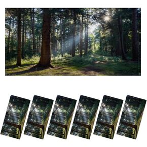 4 Pack Fluorescent Light Covers for Ceiling Light, Lonely big tree growing up ancient books like a painting literature Light Filters for Classroom Office Home, 4' x 2' Decorative Magnetic Light Cover