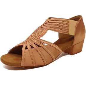 HIPPOSEUS Women Low Heel Latin Ballroom Dance Shoes Indoor Salsa Batchata Practice Dancing Shoes