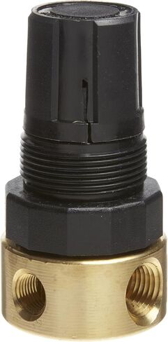 Parker R364-02C Regulator, Relieving Type, 0-125 psi Pressure Range, No Gauge, 10 scfm, 1/4" NPT in Saudi Arabia
