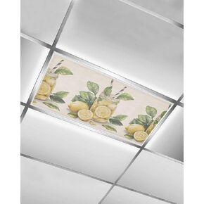 4 Pack Fluorescent Light Cover for Ceiling Lights, Summer Lemon Magnetic Classroom Light Filters 4x2 Feet, Yellow Fruits Green Leaf Vase Vintage Decorative Ceiling Shade Panel for Office