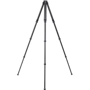 TreeRoot Carbon Fiber Medium Tripod R240T, 4-Section Legs, Quick Lock Tripod Only-T00A4901
