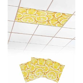 3 Pack Fluorescent Light Cover for Ceiling Lights, Summer Lemon Magnetic Classroom Light Filters 4x2 Feet, Modern Oil Painting Yellow Fruits Decorative Ceiling Shade Panel for Office