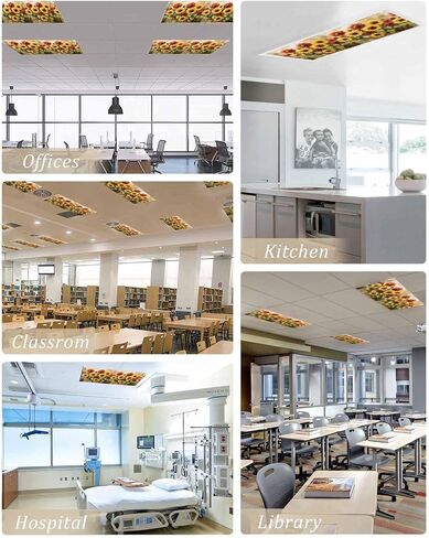2 Pack Fluorescent Light Cover for Ceiling Lights, Summer Sunflowers Magnetic Classroom Light Filters 4x2 Feet, Farmhouse Oil Painting Red Yellow Floral Ceiling Shade Panel for Office in Saudi Arabia
