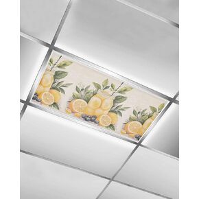 4 Pack Fluorescent Light Cover for Ceiling Lights, Summer Lemon Magnetic Classroom Light Filters 4x2 Feet, Yellow Fruits Grape Green Leaf Vase Decorative Ceiling Shade Panel for Office