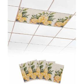 4 Pack Fluorescent Light Cover for Ceiling Lights, Summer Lemon Magnetic Classroom Light Filters 4x2 Feet, Yellow Fruits Grape Green Leaf Vase Decorative Ceiling Shade Panel for Office in Saudi Arabia