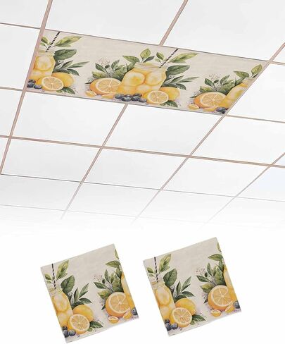 4 Pack Fluorescent Light Cover for Ceiling Lights, Summer Lemon Magnetic Classroom Light Filters 4x2 Feet, Yellow Fruits Grape Green Leaf Vase Decorative Ceiling Shade Panel for Office in Saudi Arabia