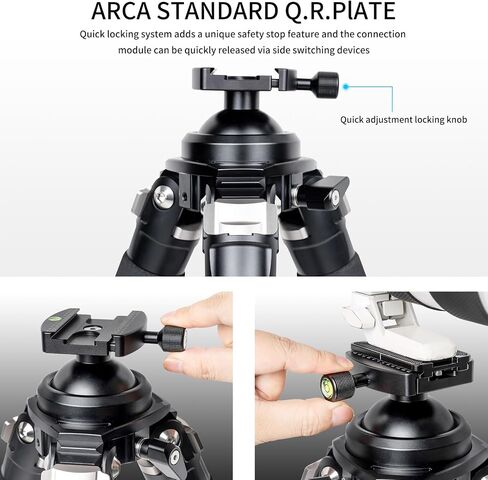 INNOREL P404C 72" Carbon Fiber Tripod for Hunting with Arca Swiss Dovetail Mount and 360° Ballhead(2.5"), 40mm Tube Tripods with Heavy Duty Construction for Photography and Outdoors, Load 88lb/40kg in Saudi Arabia