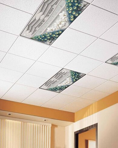 3 Pack Fluorescent Light Cover for Ceiling Lights, Peacock Elegant Magnetic Classroom Light Filters 4x2 Feet, Watercolor Feather Retro Attic Flower Decorative Ceiling Shade Panel for Office in Saudi Arabia