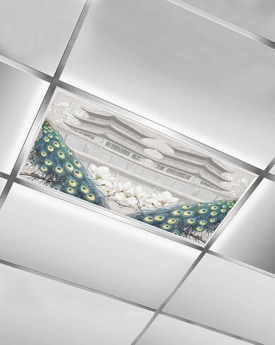 3 Pack Fluorescent Light Cover for Ceiling Lights, Peacock Elegant Magnetic Classroom Light Filters 4x2 Feet, Watercolor Feather Retro Attic Flower Decorative Ceiling Shade Panel for Office in Saudi Arabia