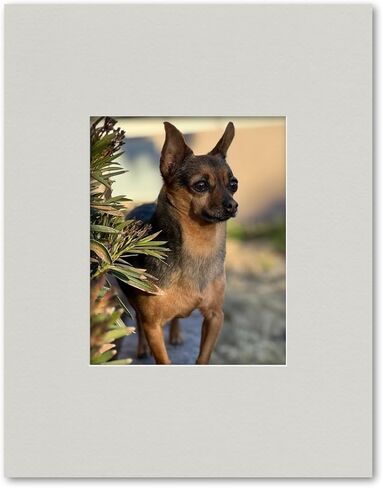 14x18 Matting for 8x10 Photograph or Artwork 4-Ply Bevel Cut Acid Free Matboard for Picture framing (Dark Olive) in Saudi Arabia