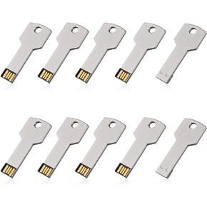 RAOYI 10 Pack 2GB USB Flash Drive USB 2.0 معدن على شكل مفتاح ذاكرة عصا الإبهام محرك القلم - فضي